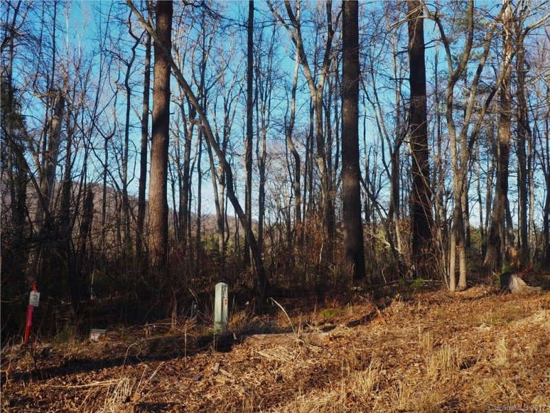 Property image 2 at 0000 Snook S Path, Mars Hill, NC 28754