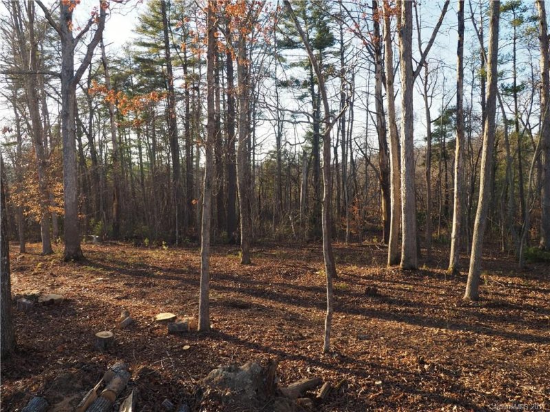 Property image 3 at 0000 Snook S Path, Mars Hill, NC 28754