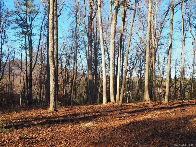 Property image 4 at 0000 Snook S Path, Mars Hill, NC 28754