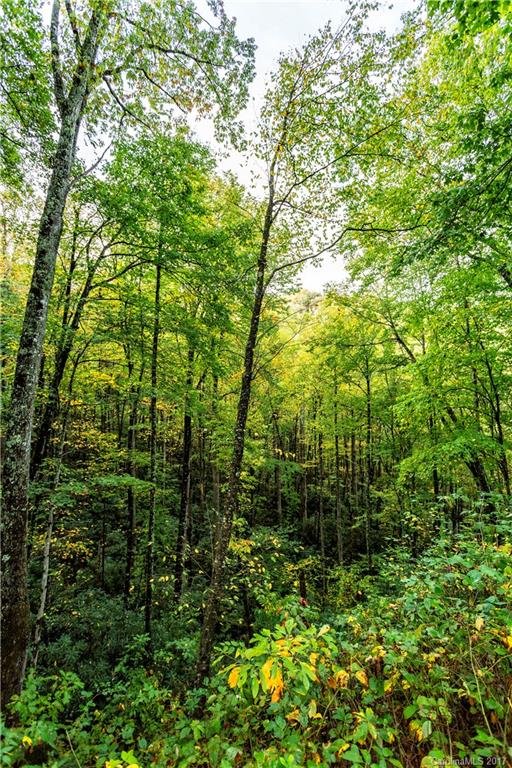 Property image 5 at 1887 Black Rock Road, Qualla, NC 28719