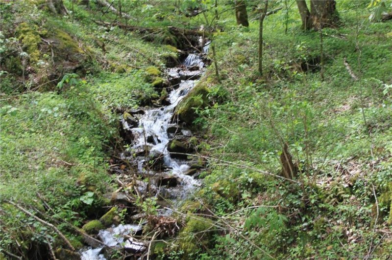 0000 Big Spring Trail