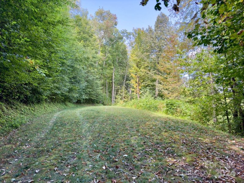 Property image 2 of 0000 Big Spring Trail in Black Rock Creek, Qualla, NC 28719