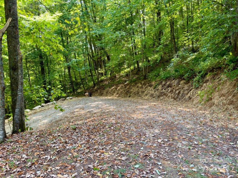 Property image 3 of 0000 Big Spring Trail in Black Rock Creek, Qualla, NC 28719