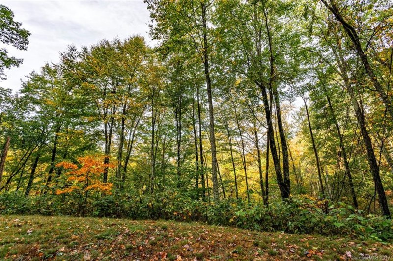 Property image 3 at 58 Buddy Boy Lane, Qualla, NC 28719