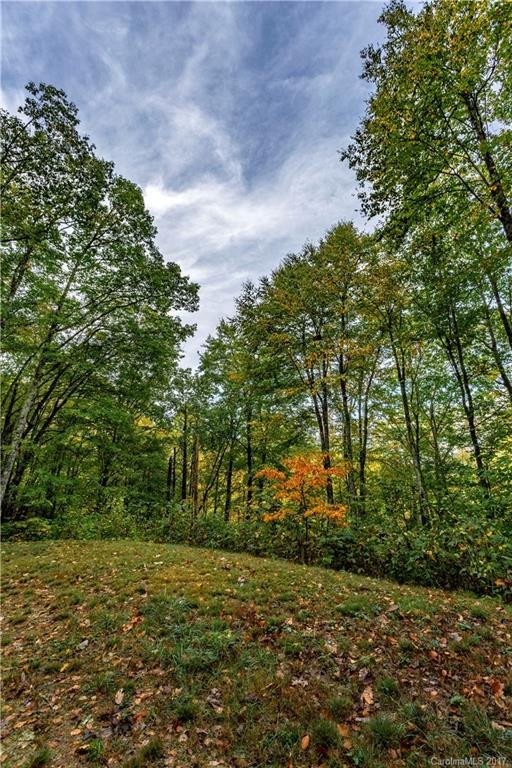 Property image 4 at 58 Buddy Boy Lane, Qualla, NC 28719