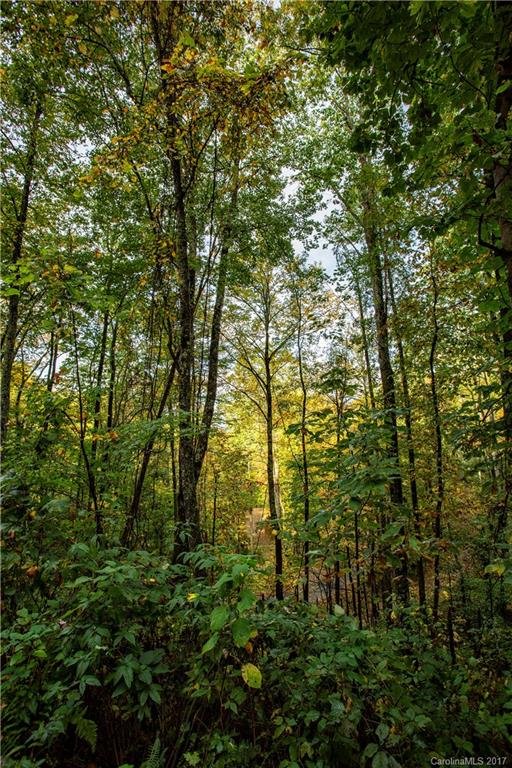 Property image 5 at 58 Buddy Boy Lane, Qualla, NC 28719