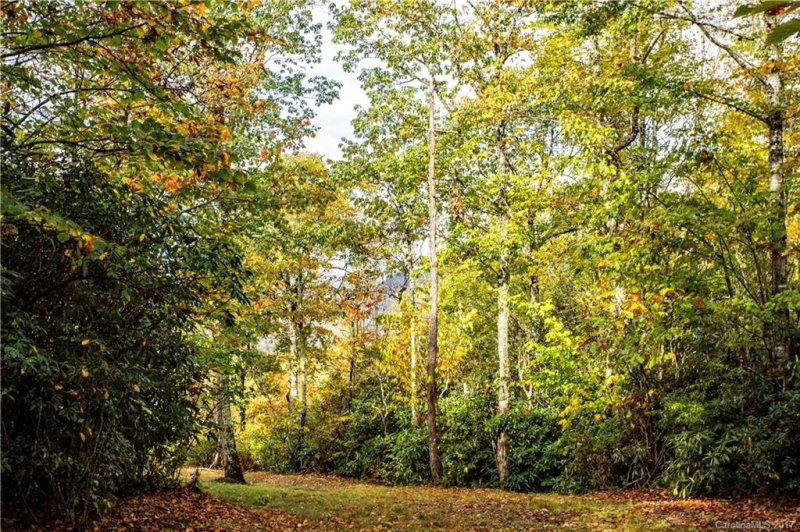 Property image 2 at 115 Buddy Boy Lane, Qualla, NC 28719