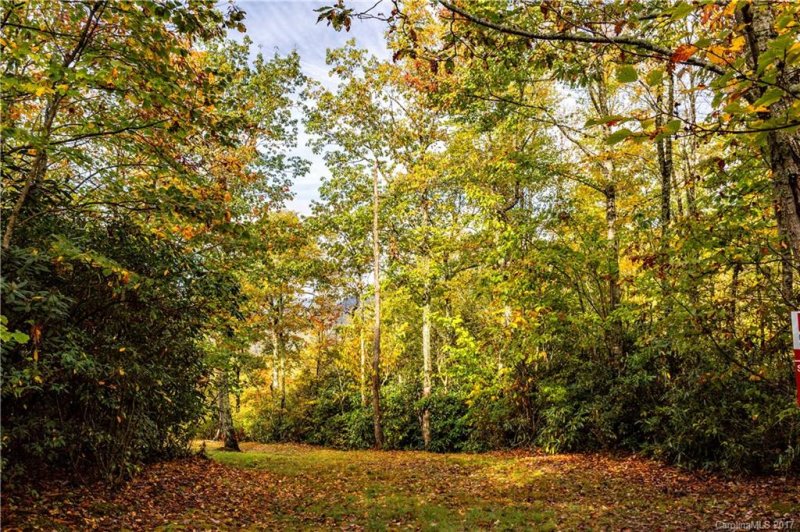 Property image 3 at 115 Buddy Boy Lane, Qualla, NC 28719