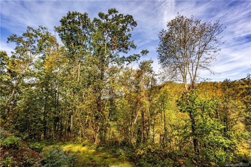 Property image 2 at 306 Buddy Boy Lane, Qualla, NC 28719