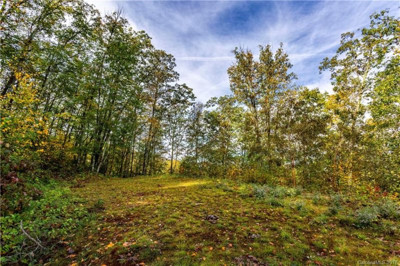 Property image 3 at 306 Buddy Boy Lane, Qualla, NC 28719