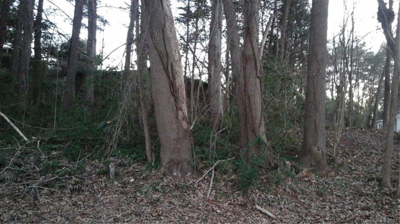 Lot 67 Ponderosa Circle