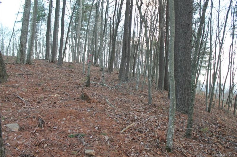 Property image 2 at 160 Villa Nova Drive, Asheville, NC 28804