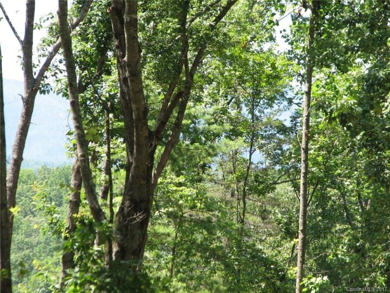 Property image 5 at Lot 36 Stow A Way Drive, Nebo, NC 28761