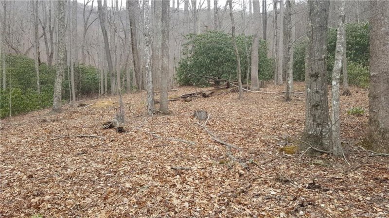 Lot 28 Buckeye Branch Drive