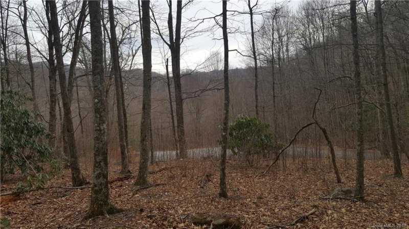 Property image 2 at Lot 28 Buckeye Branch Drive, Clyde, NC 28721