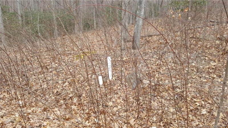 Property image 3 at Lot 28 Buckeye Branch Drive, Clyde, NC 28721