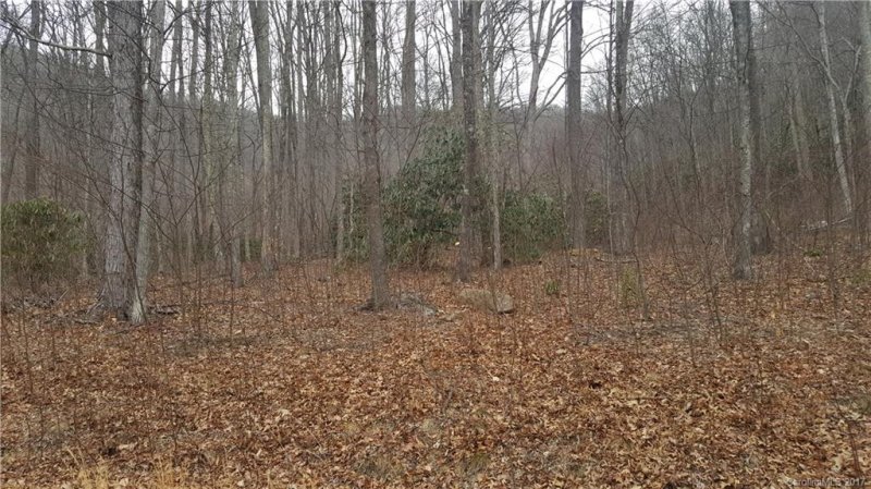 Property image 4 at Lot 28 Buckeye Branch Drive, Clyde, NC 28721