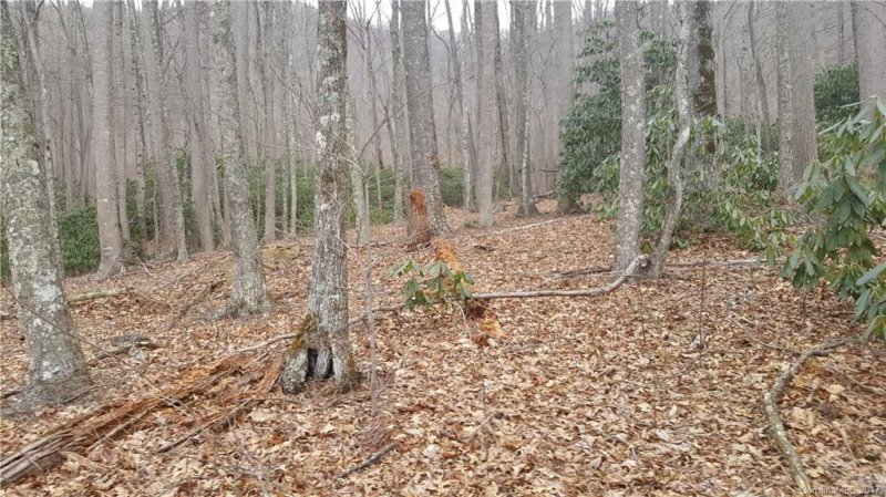 Property image 5 at Lot 28 Buckeye Branch Drive, Clyde, NC 28721