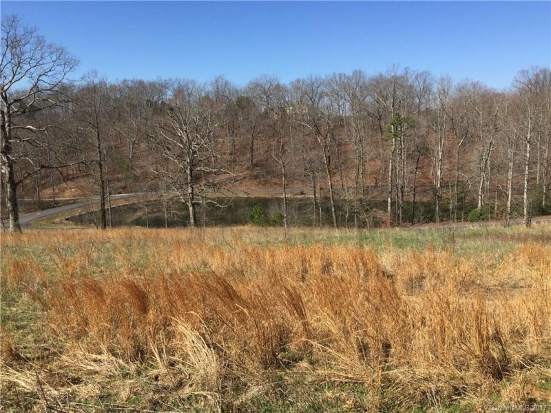 Property image 4 at 132 Blue Horse Lane, Columbus, NC 28722