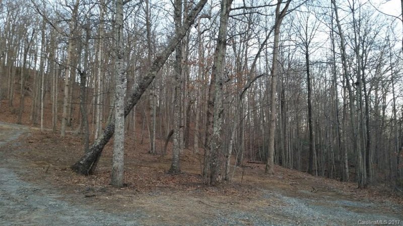 Property image 3 at Lot 406 Grey Rock None, Lake Lure, NC 28746