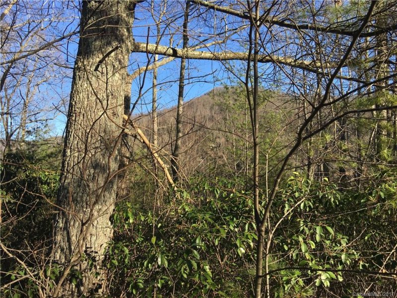 Property image 2 at Lot 25 Majestic Ridge Drive, Hendersonville, NC 28792