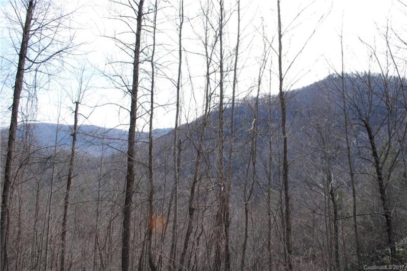 Property image 5 at Lot 25 Majestic Ridge Drive, Hendersonville, NC 28792