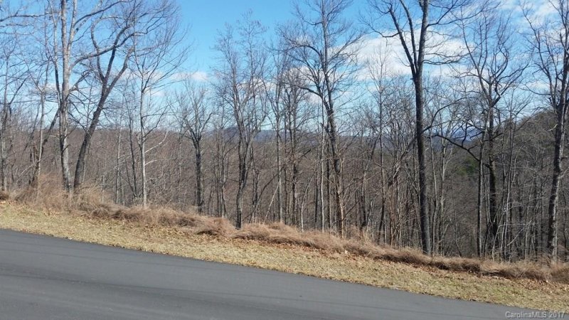 Property image 3 at Lot 375 Rolling Ridge Trail, Lake Lure, NC 28746