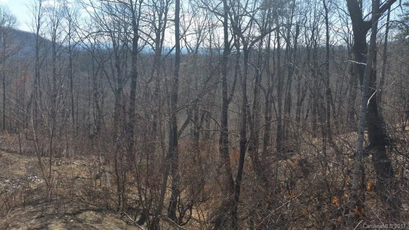Property image 4 at Lot 375 Rolling Ridge Trail, Lake Lure, NC 28746
