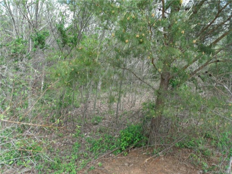 Property image 2 at Lot 39 Hope Drive, Rutherfordton, NC 28139