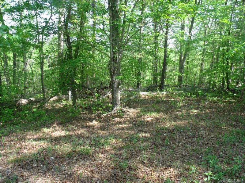 Property image 3 at Lot 39 Hope Drive, Rutherfordton, NC 28139