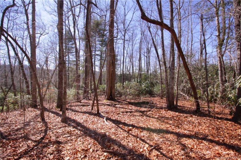 Property image 4 at Tract 39 Laurel Lane, Pisgah Forest, NC 28768
