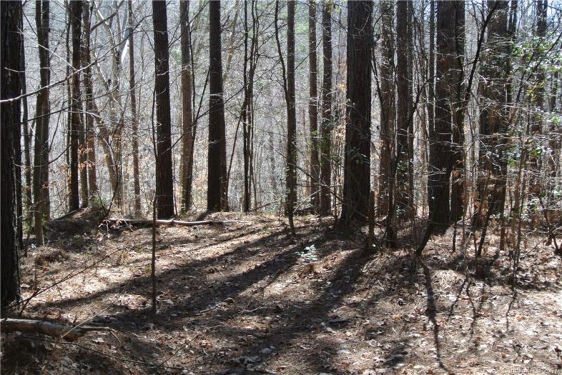 Property image 4 at 248 Windingwood Drive, Statesville, NC 28677