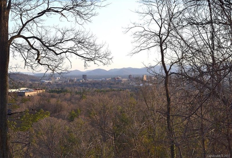 Property image 2 at 9999 N Griffing Boulevard, Asheville, NC 28804