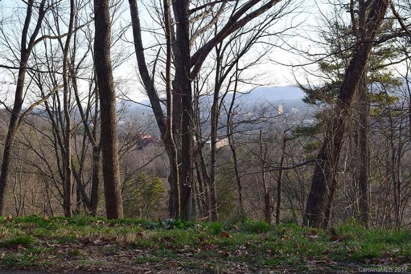 Property image 3 at 9999 N Griffing Boulevard, Asheville, NC 28804