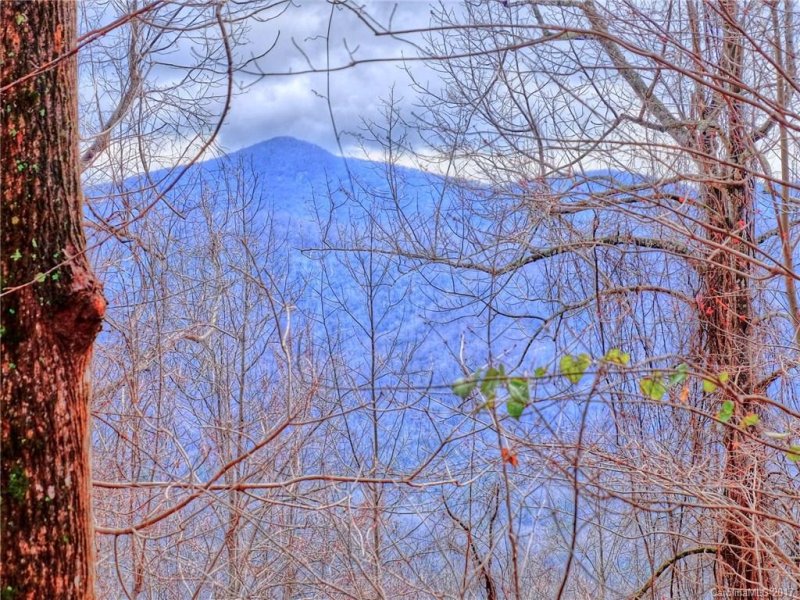 Property image 3 at 55 S Songbird Court, Hendersonville, NC 28792