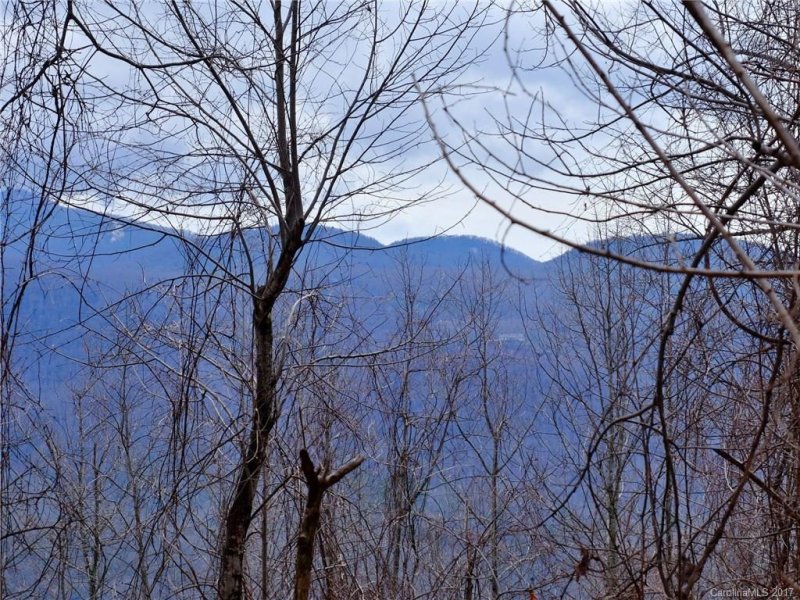 Property image 4 at 55 S Songbird Court, Hendersonville, NC 28792