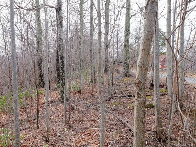 Property image 5 at 55 S Songbird Court, Hendersonville, NC 28792