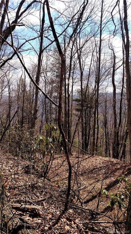 0000 Hawks Ridge Drive