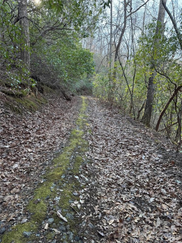 Property image 3 of Lot 41 S Country Club Drive in Forest Hills, Cullowhee, NC 28723