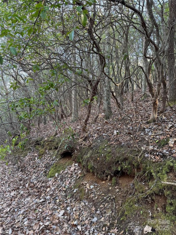 Property image 4 of Lot 41 S Country Club Drive in Forest Hills, Cullowhee, NC 28723