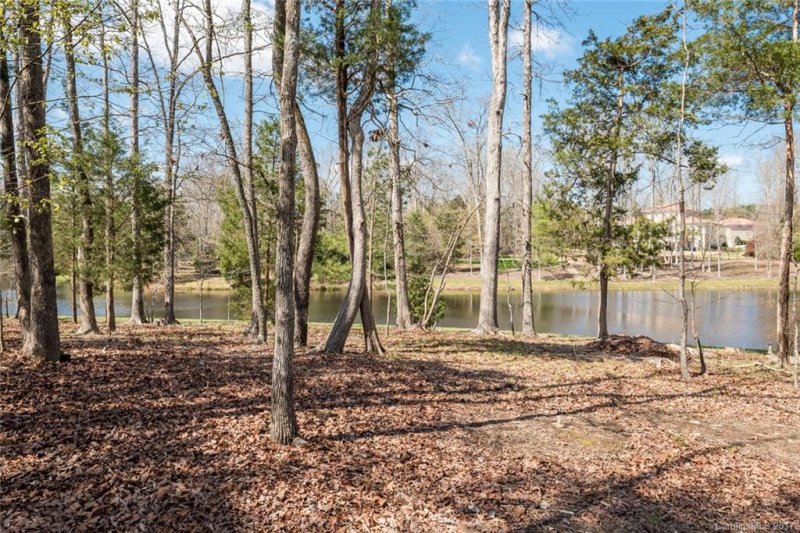 Property image 4 at 9724 Sedgefield Drive, Waxhaw, NC 28173