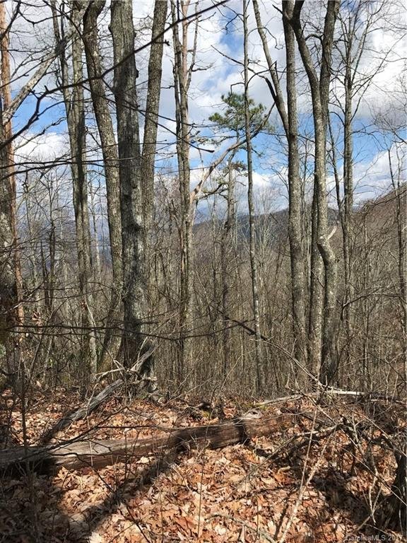 Property image 2 of Lot 1 White Tail Trail in Hawks Ridge, Whittier, NC 28789