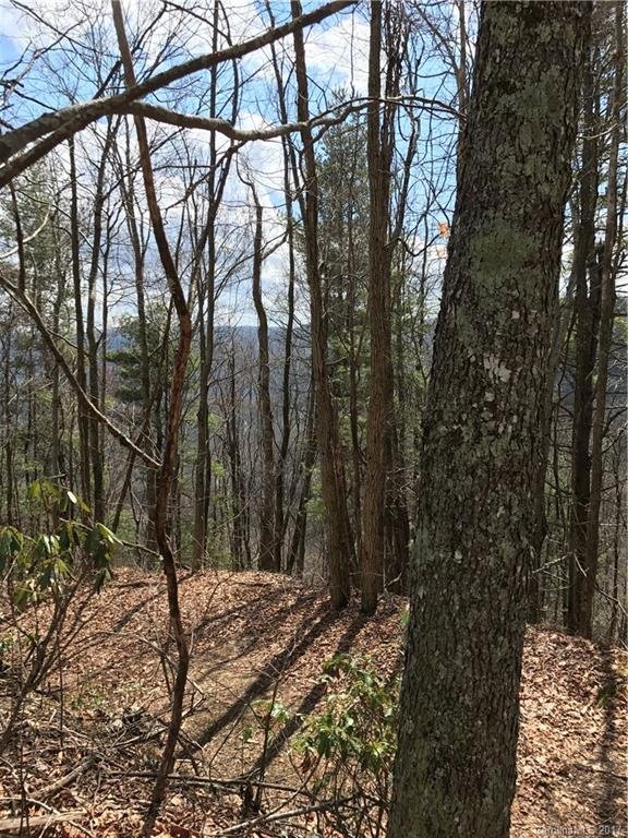 Property image 3 of Lot 1 White Tail Trail in Hawks Ridge, Whittier, NC 28789