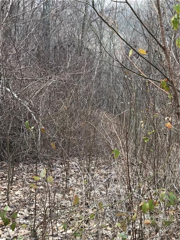 Property image 3 of Lot 8 Hawks Ridge Drive in Hawks Ridge, Whittier, NC 28789