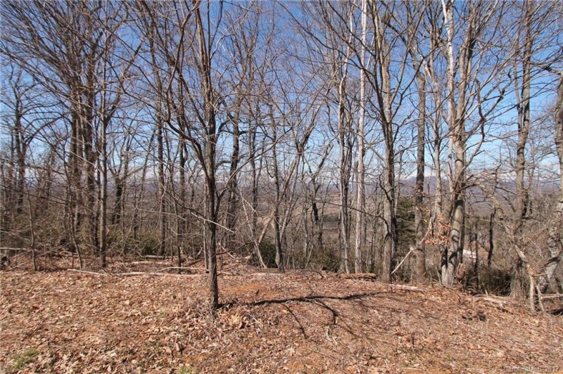 Property image 3 at 0 Tbd Eagles Eye Drive, Hendersonville, NC 28792