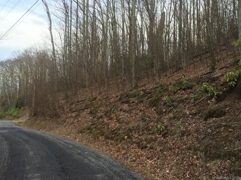 Property image 3 at 38 Trickle Creek Road, Waynesville, NC 28785