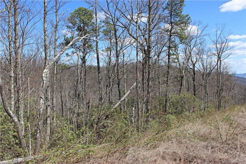 Property image 2 at 87 Big Oak Ridge, Lake Lure, NC 28746