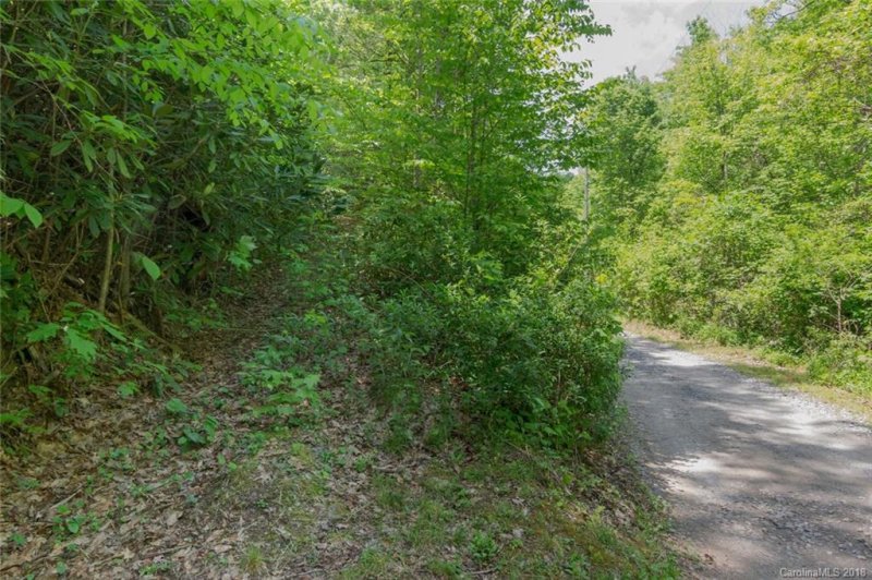 Property image 3 at 41 Faholoa Ridge Road, Black Mountain, NC 28711