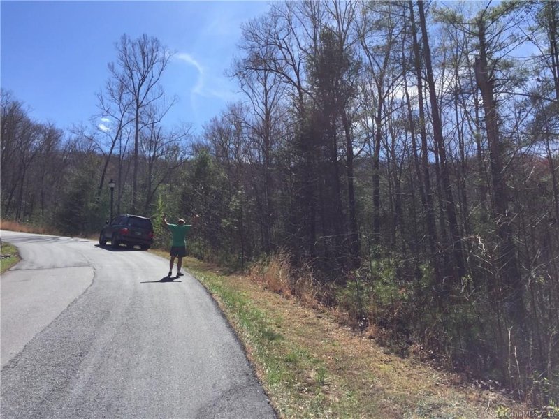 Property image 3 at Lot 11 Sovereign Lane, Fairview, NC 28730