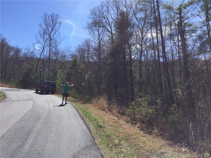 Property image 4 at Lot 11 Sovereign Lane, Fairview, NC 28730